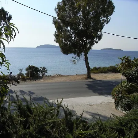 Nefi (adults Only) *