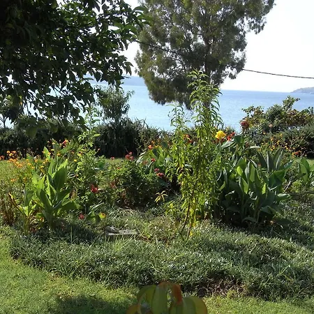 Gasthof Nefi (adult Friendly) Megali Ammos (Skiathos)