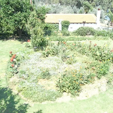 Nefi (adult Friendly) Gasthof Megali Ammos (Skiathos)