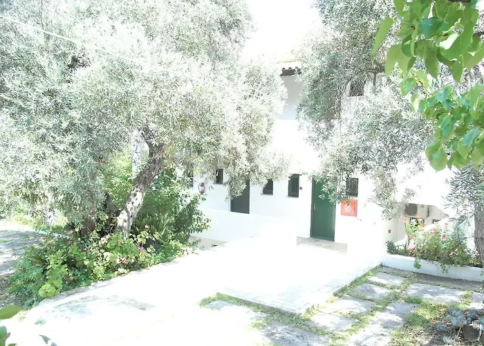 Nefi (adult Friendly) Megali Ammos (Skiathos)